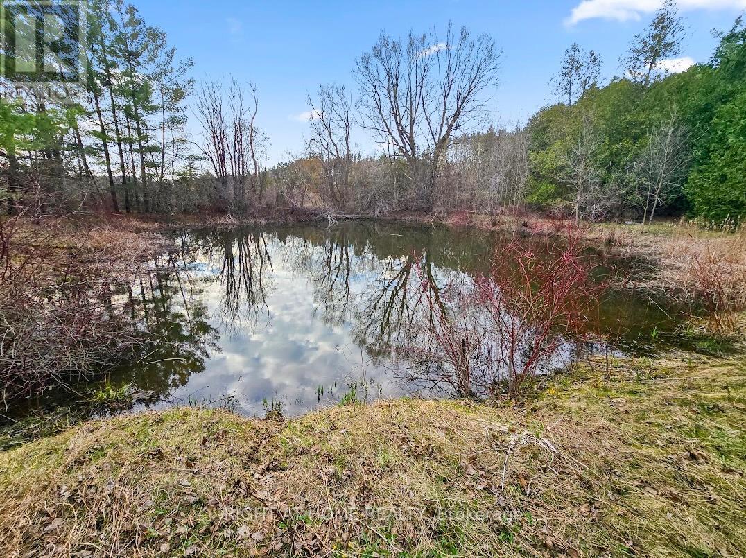 16568 Mount Hope Road, Caledon, Ontario  L7E 5R8 - Photo 4 - W13045376