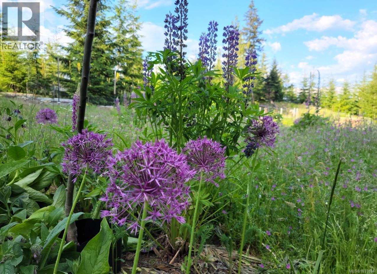 345 Skywater Dr, Salt Spring, British Columbia  V8K 2W9 - Photo 13 - 1033184