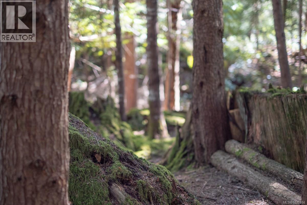 345 Skywater Dr, Salt Spring, British Columbia  V8K 2W9 - Photo 7 - 1033184