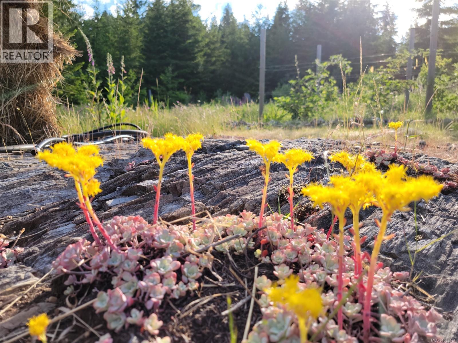 345 Skywater Dr, Salt Spring, British Columbia  V8K 2W9 - Photo 14 - 1033184