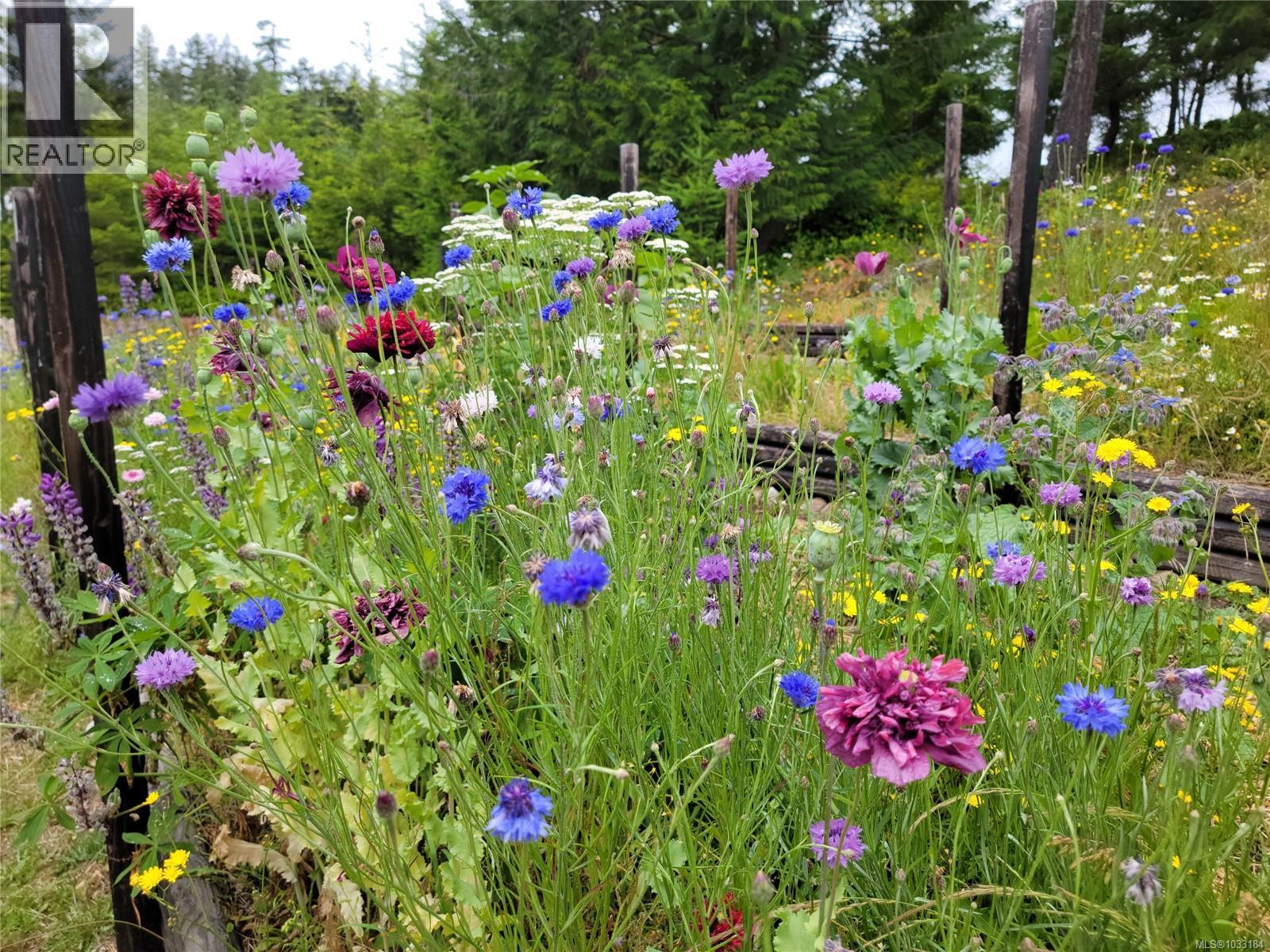 345 Skywater Dr, Salt Spring, British Columbia  V8K 2W9 - Photo 15 - 1033184