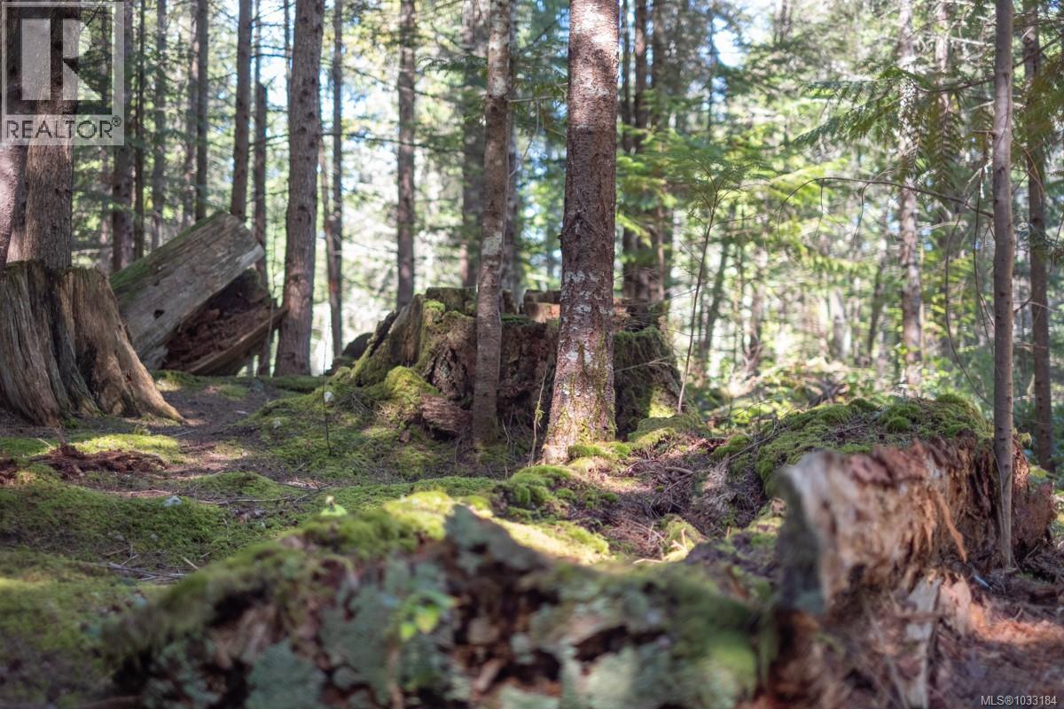 345 Skywater Dr, Salt Spring, British Columbia  V8K 2W9 - Photo 6 - 1033184