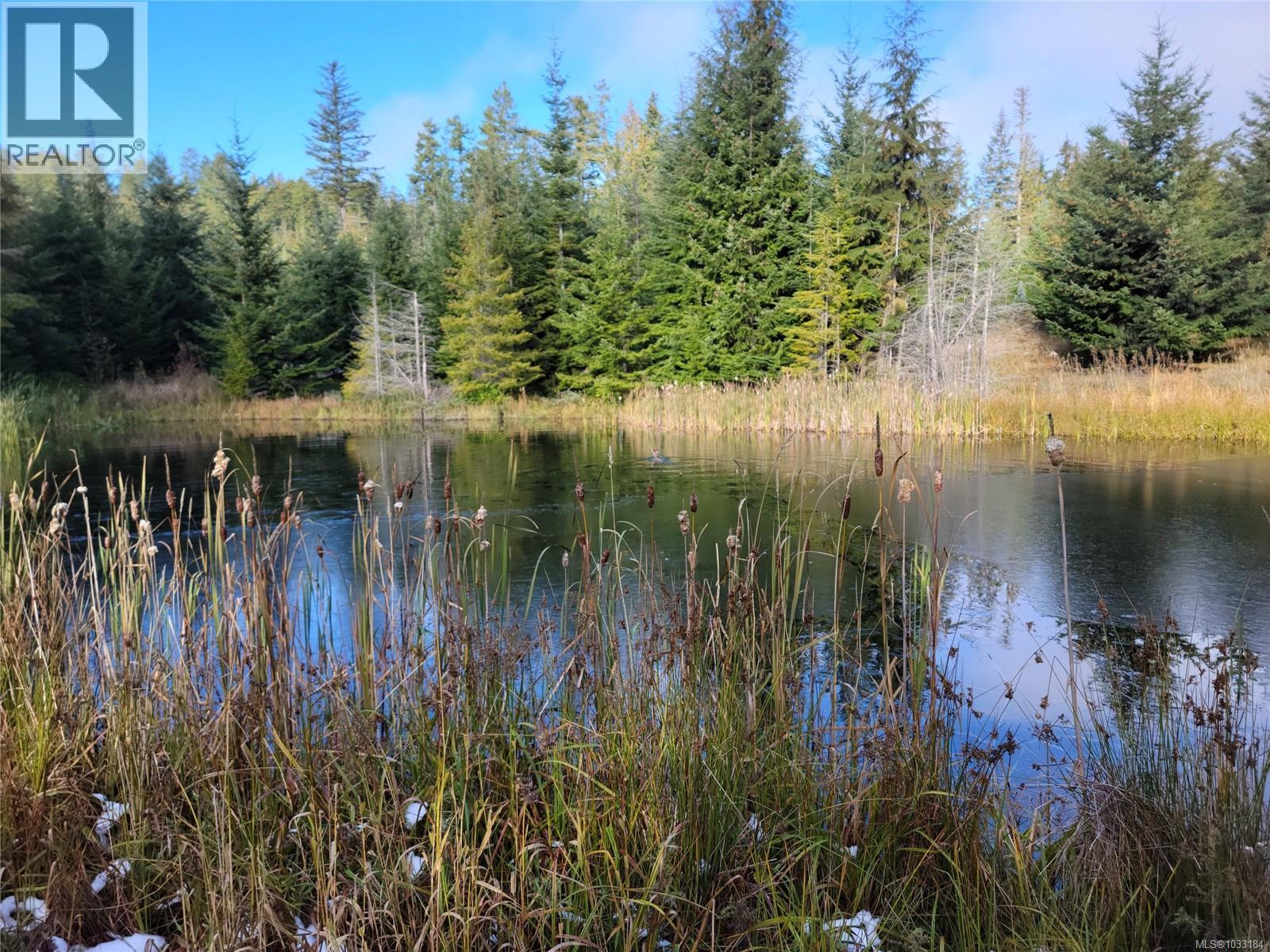 345 Skywater Dr, Salt Spring, British Columbia  V8K 2W9 - Photo 5 - 1033184