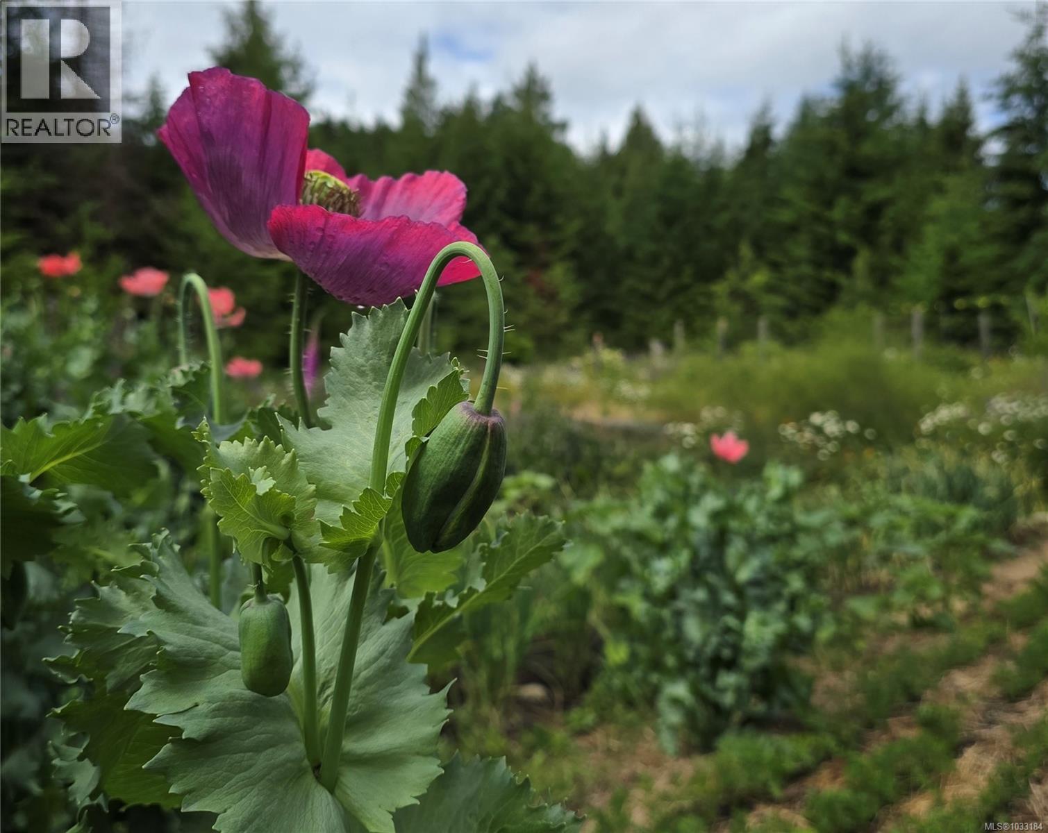 345 Skywater Dr, Salt Spring, British Columbia  V8K 2W9 - Photo 17 - 1033184