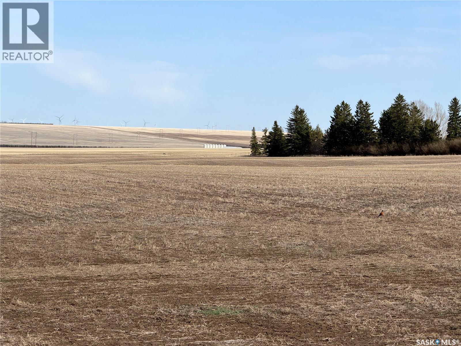 Harder Acreage 50 Acres, Swift Current Rm No. 137, Saskatchewan  S0N 2Y0 - Photo 31 - SK033948