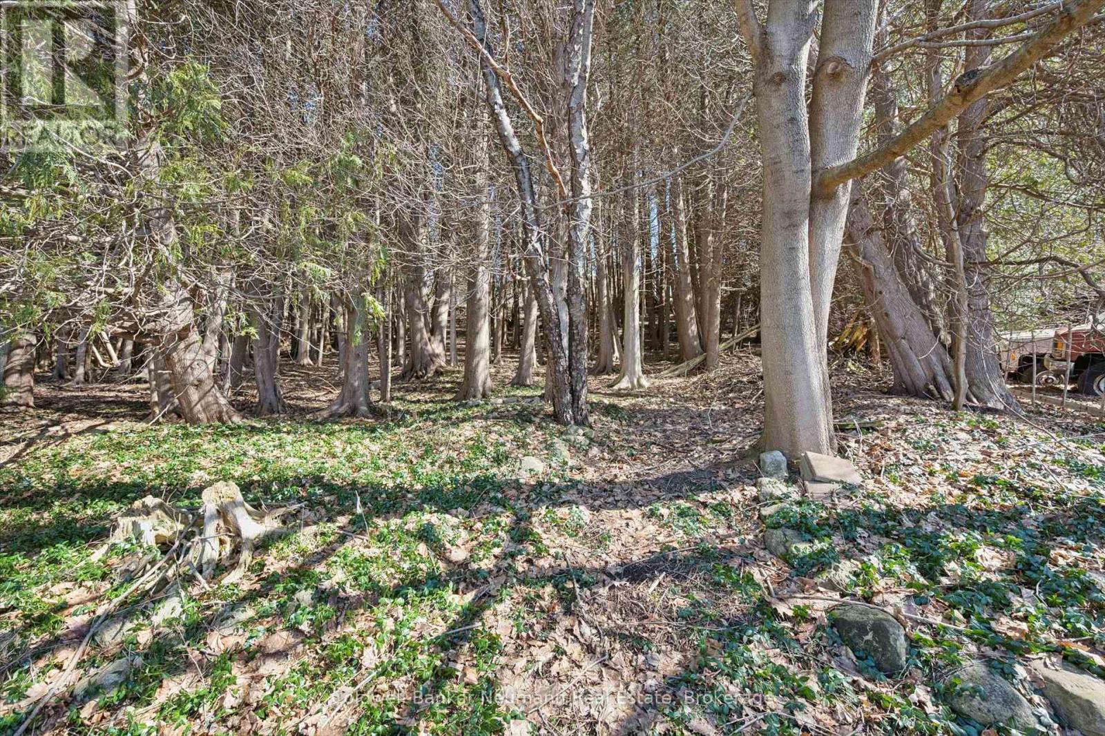 153 Harris Street, Guelph/eramosa, Ontario  N0B 2K0 - Photo 27 - X12952392