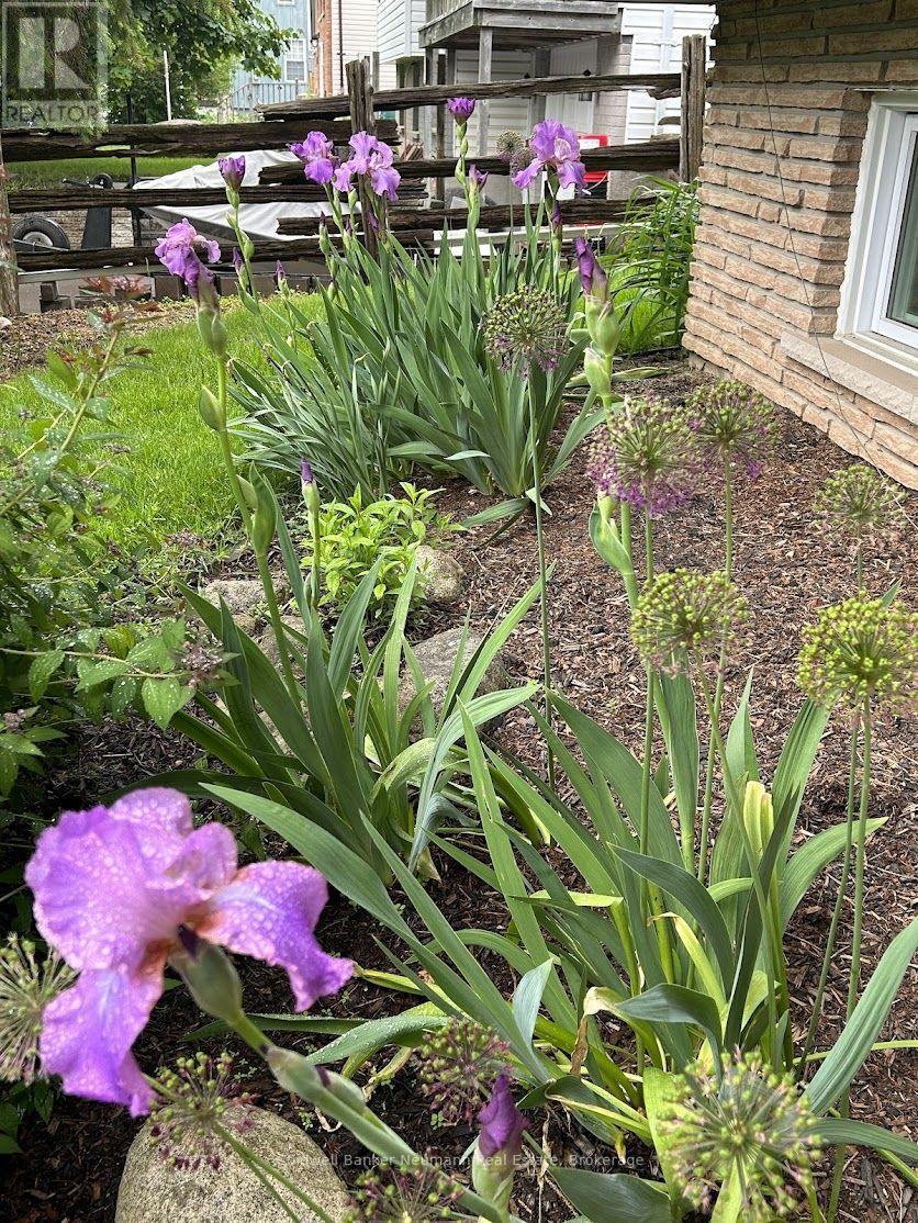 153 Harris Street, Guelph/eramosa, Ontario  N0B 2K0 - Photo 40 - X12952392