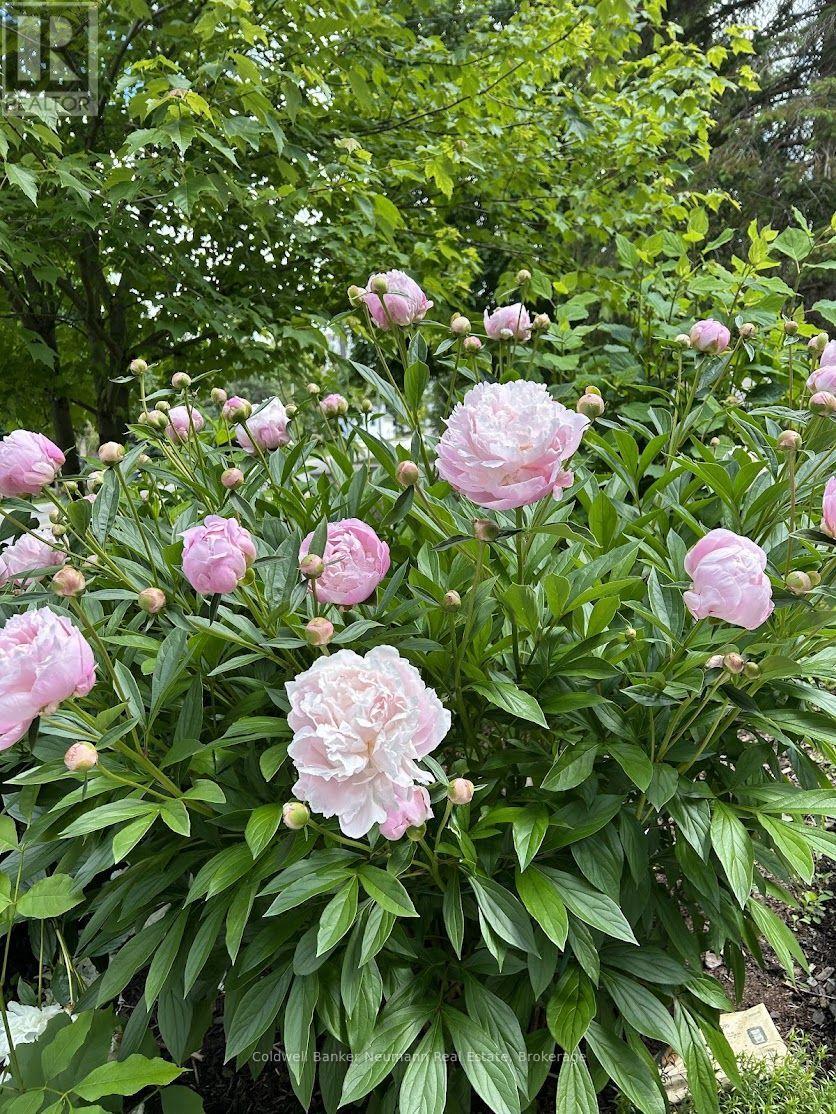 153 Harris Street, Guelph/eramosa, Ontario  N0B 2K0 - Photo 36 - X12952392