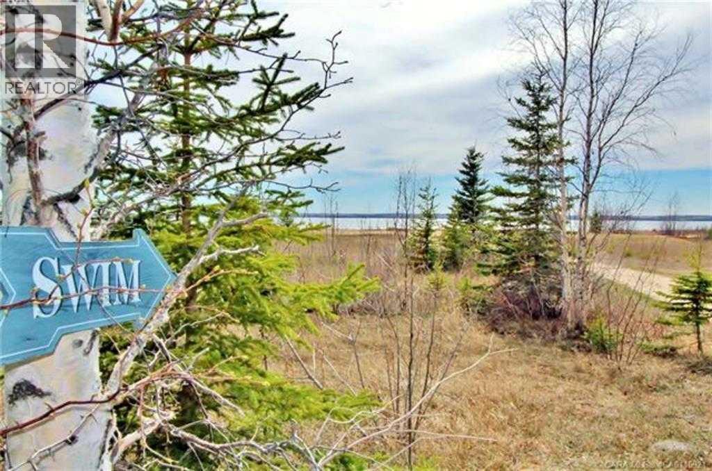 200 Canal Street, Rural Ponoka County, Alberta  T4L 2N3 - Photo 12 - A2300187