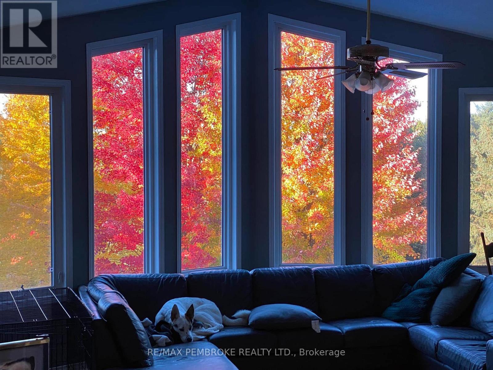 56 Robertson Drive, Whitewater Region, Ontario  K0J 1C0 - Photo 25 - X12962636