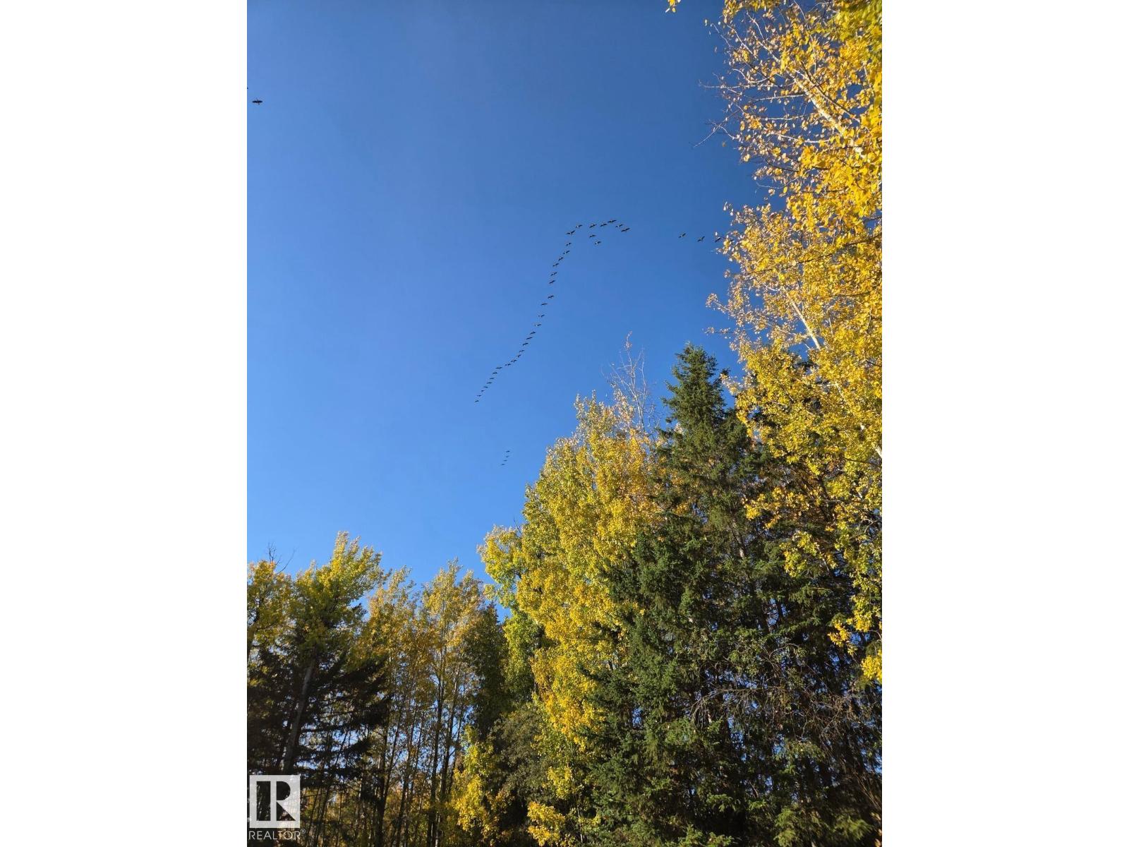 3 Rge Rd 90, Rural Yellowhead, Alberta  T0E 2M0 - Photo 6 - E4484290