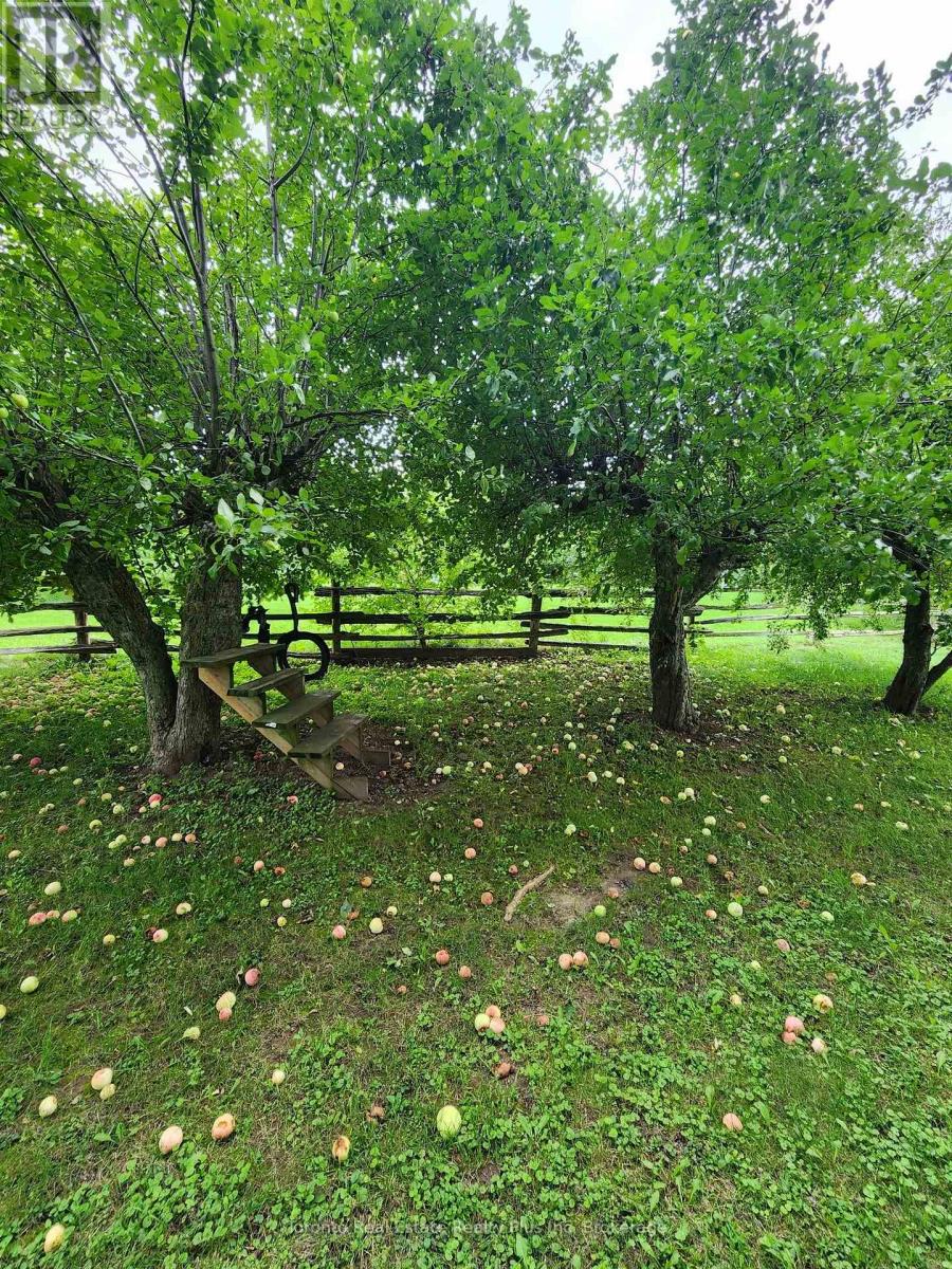 1215 Britannia Road, Burlington, Ontario  L7P 0E7 - Photo 17 - W13045444