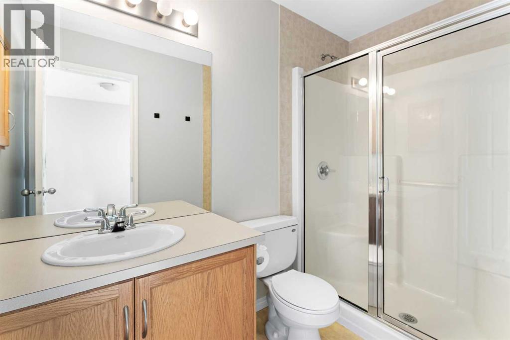 185 Copperfield Common SE, Calgary, Alberta  T2Z 4W8 - Photo 21 - A2304178