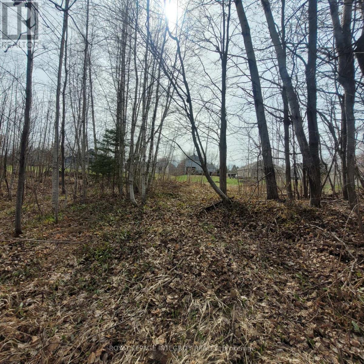 53 Beaver Lane, The Nation, Ontario  K0A 2M0 - Photo 33 - X13023780