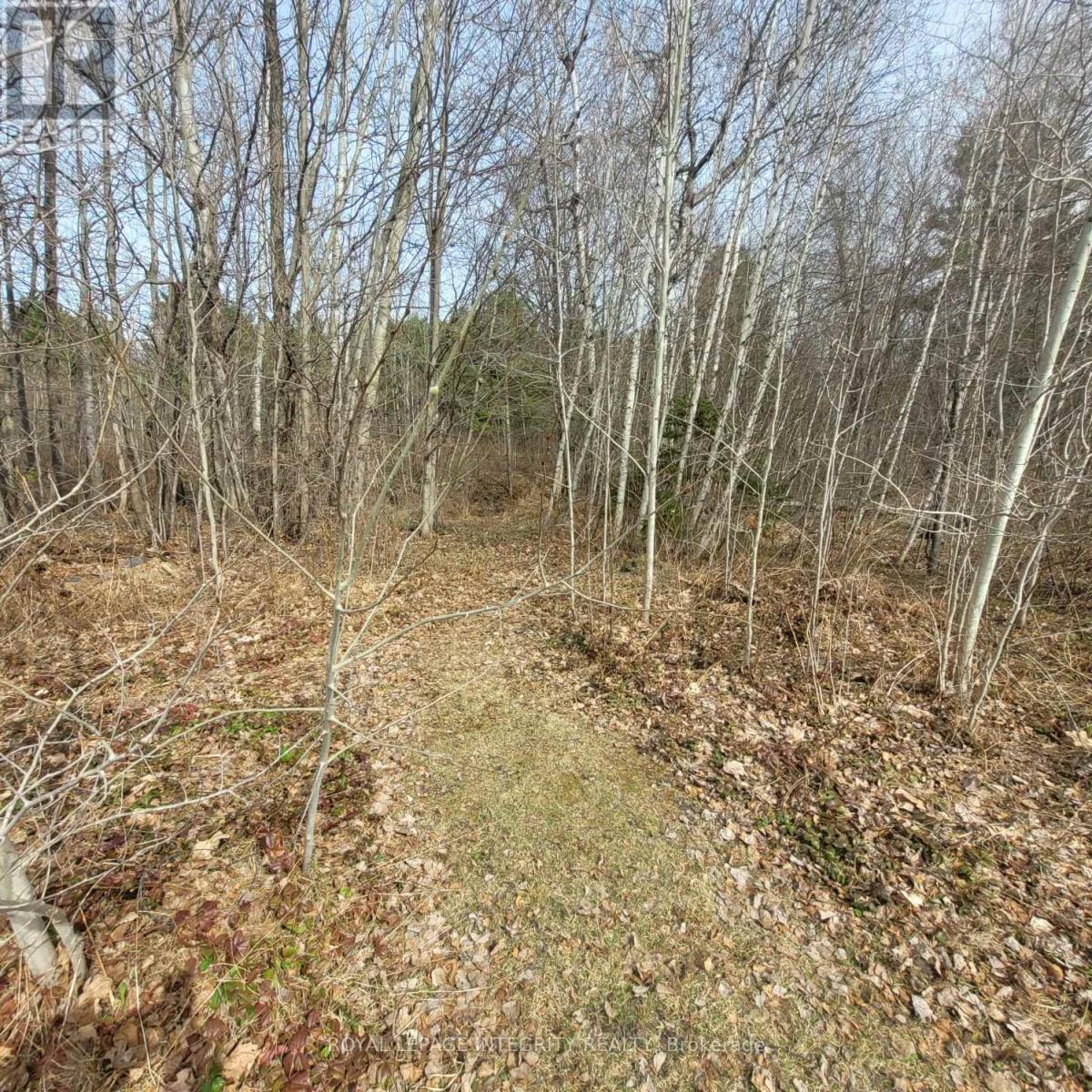 53 Beaver Lane, The Nation, Ontario  K0A 2M0 - Photo 32 - X13023780