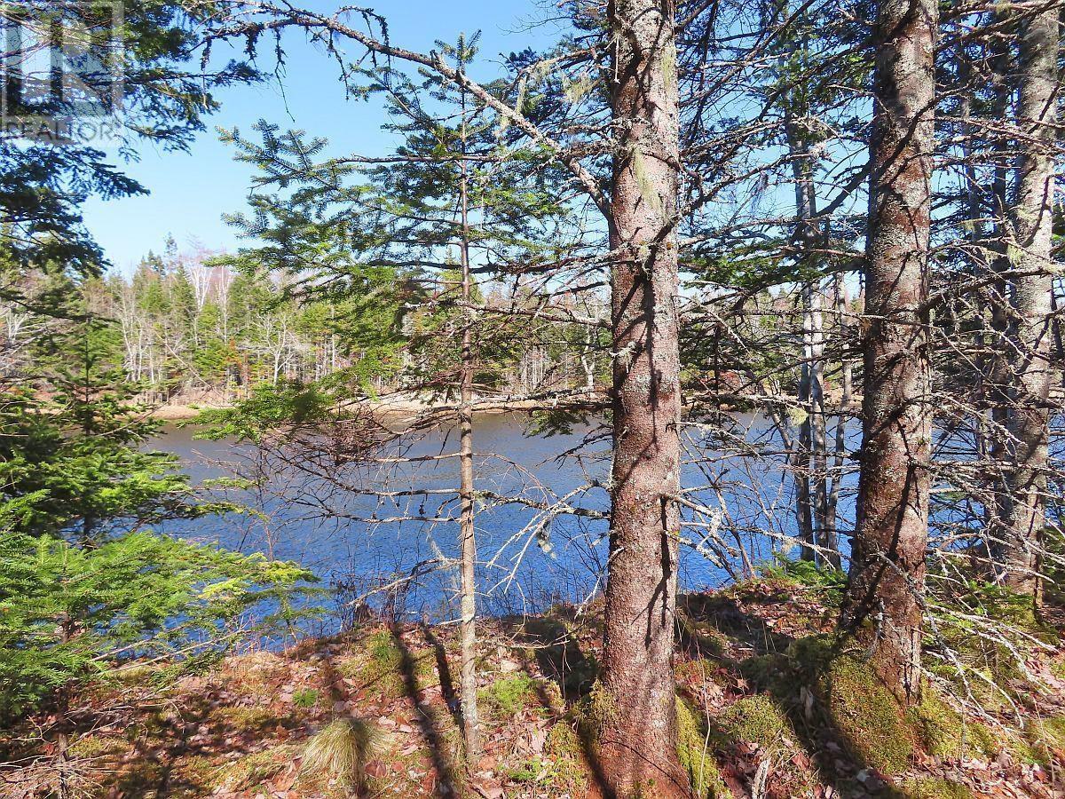 Lot5 Lower River Road, Grantville, Nova Scotia  B0E 1J0 - Photo 11 - 202403617