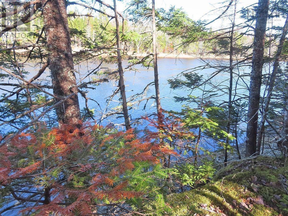 Lot5 Lower River Road, Grantville, Nova Scotia  B0E 1J0 - Photo 10 - 202403617