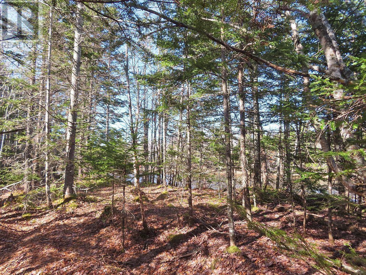 Lot5 Lower River Road, Grantville, Nova Scotia  B0E 1J0 - Photo 13 - 202403617