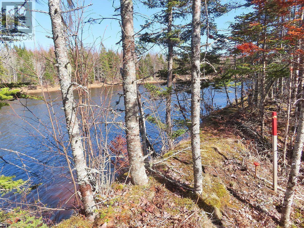Lot5 Lower River Road, Grantville, Nova Scotia  B0E 1J0 - Photo 14 - 202403617