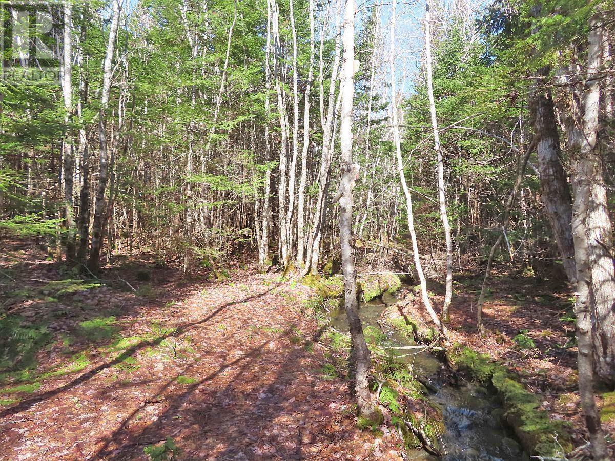 Lot5 Lower River Road, Grantville, Nova Scotia  B0E 1J0 - Photo 19 - 202403617