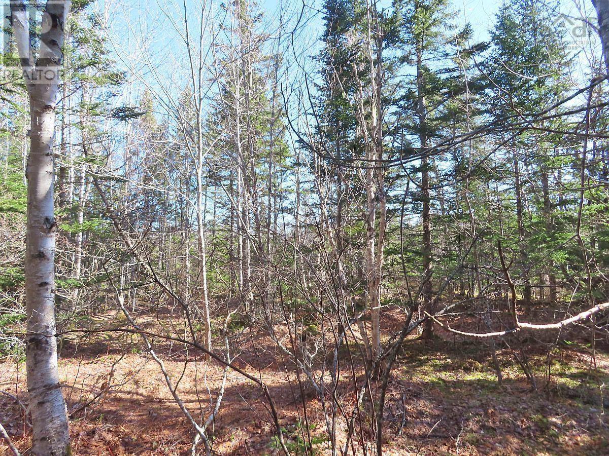 Lot5 Lower River Road, Grantville, Nova Scotia  B0E 1J0 - Photo 18 - 202403617