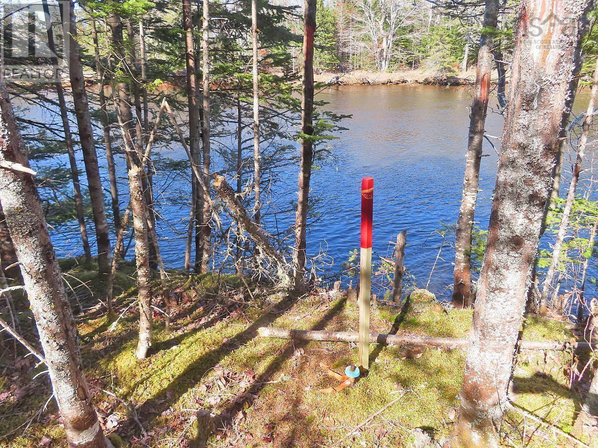 Lot5 Lower River Road, Grantville, Nova Scotia  B0E 1J0 - Photo 15 - 202403617