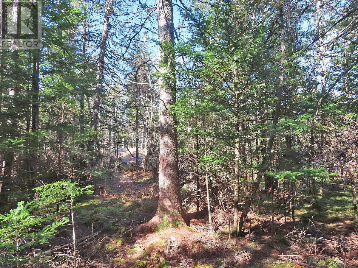Lot5 Lower River Road, Grantville, Nova Scotia  B0E 1J0 - Photo 22 - 202403617