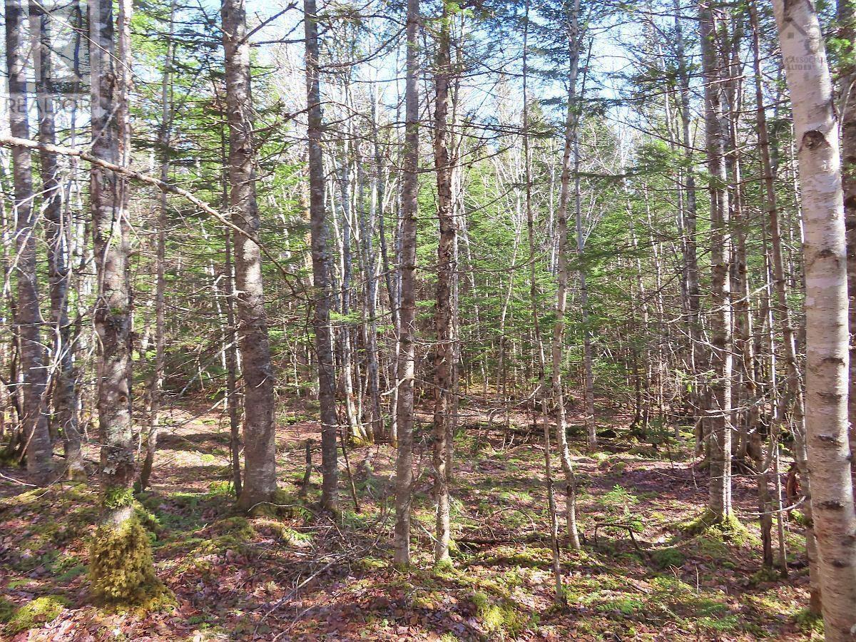 Lot5 Lower River Road, Grantville, Nova Scotia  B0E 1J0 - Photo 21 - 202403617