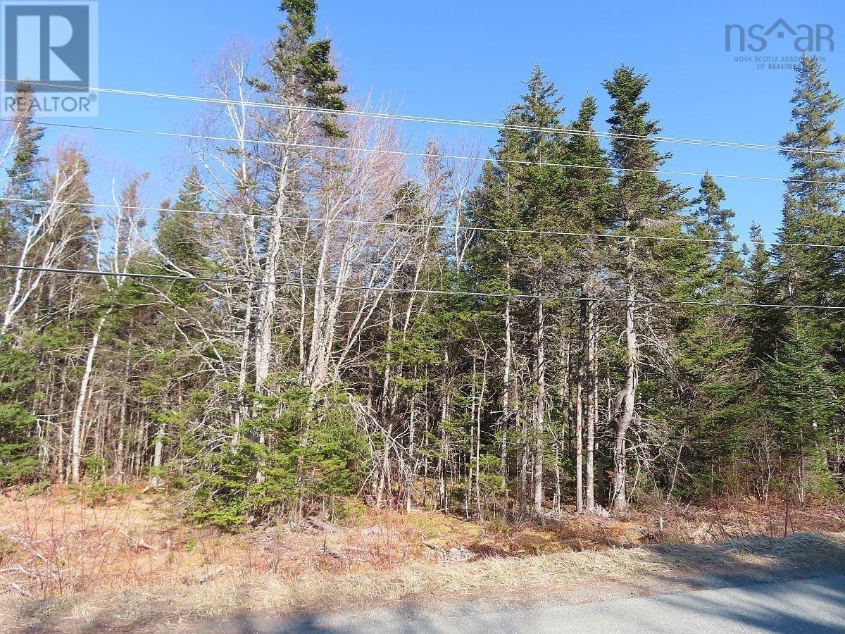 Lot5 Lower River Road, Grantville, Nova Scotia  B0E 1J0 - Photo 23 - 202403617