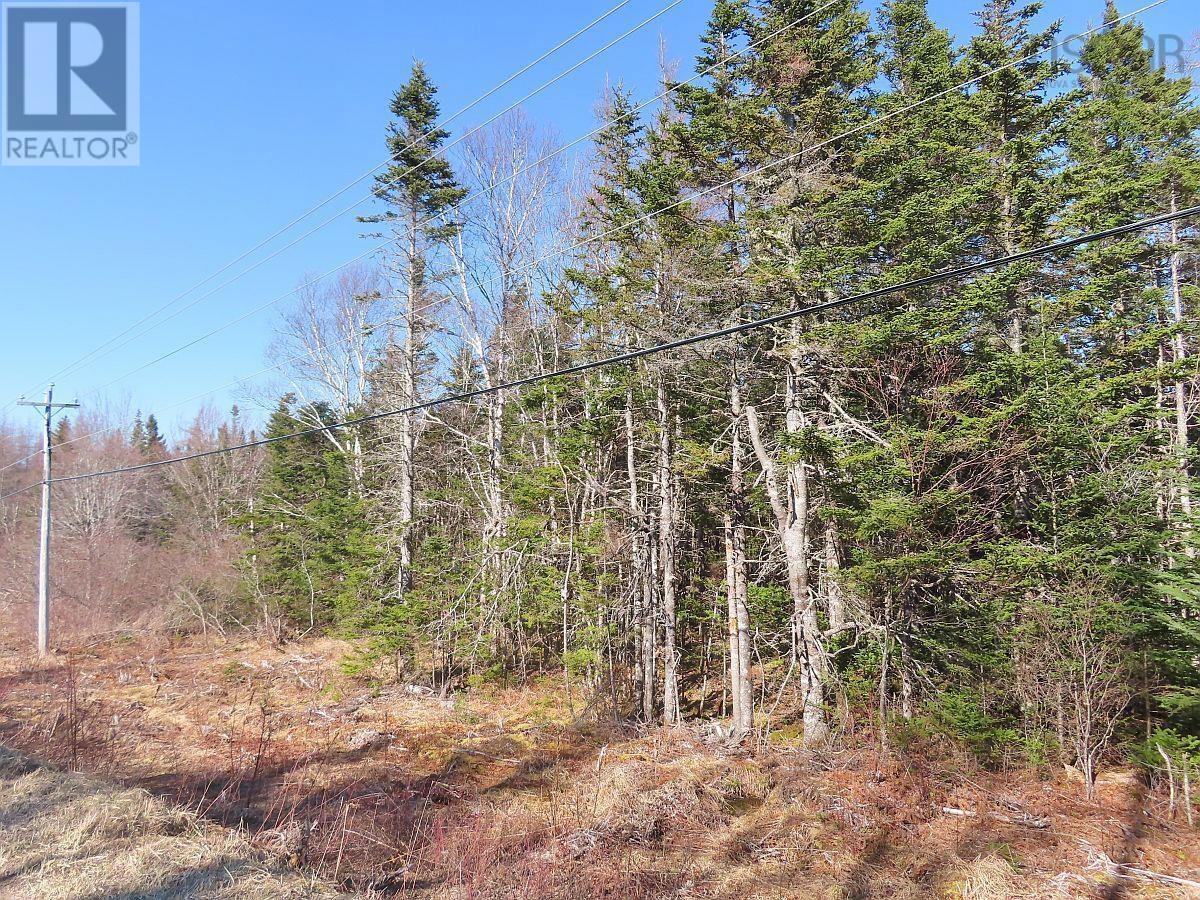 Lot5 Lower River Road, Grantville, Nova Scotia  B0E 1J0 - Photo 24 - 202403617