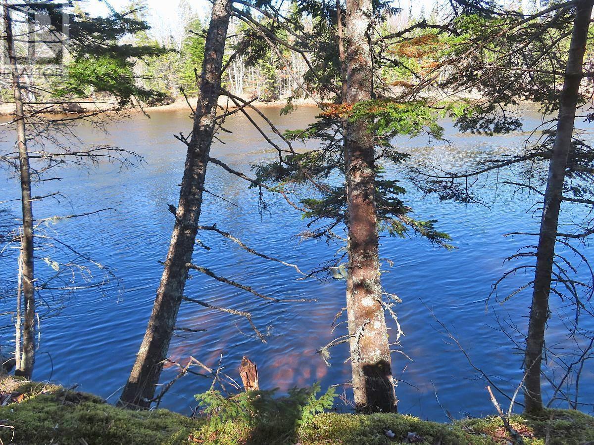 Lot5 Lower River Road, Grantville, Nova Scotia  B0E 1J0 - Photo 4 - 202403617