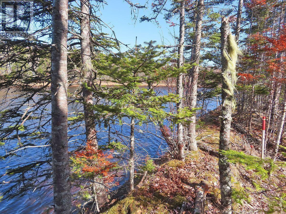 Lot5 Lower River Road, Grantville, Nova Scotia  B0E 1J0 - Photo 6 - 202403617