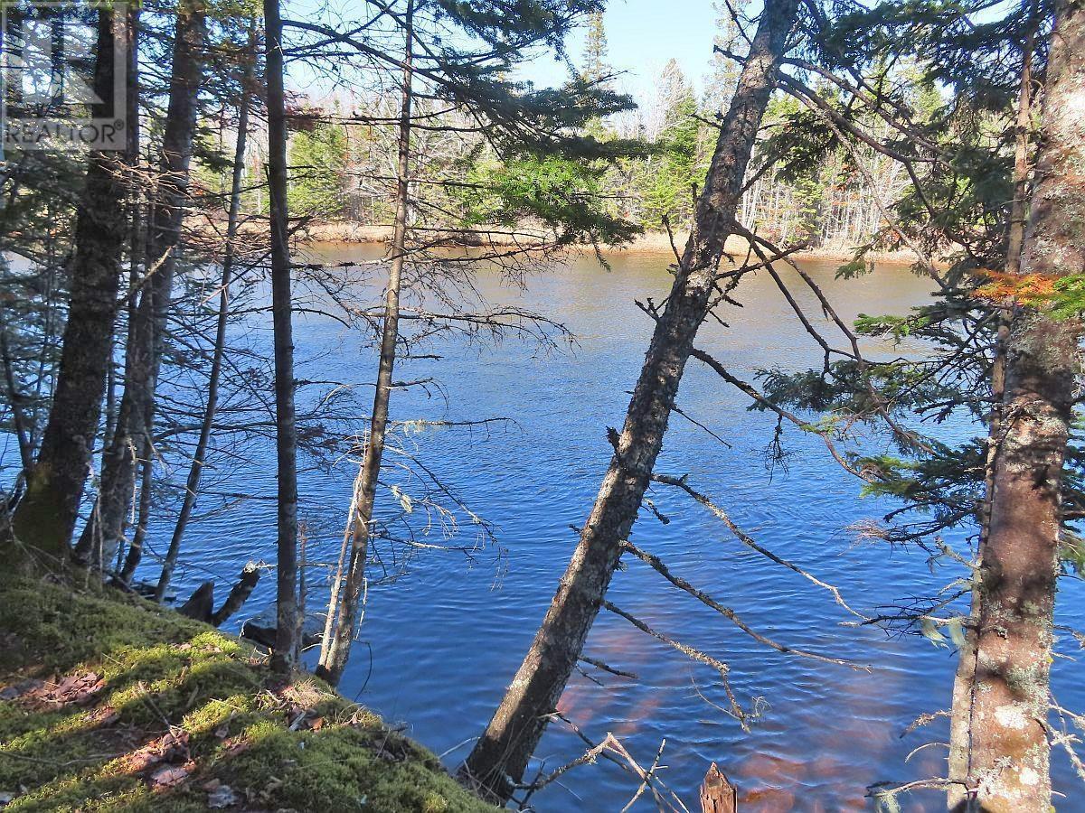 Lot5 Lower River Road, Grantville, Nova Scotia  B0E 1J0 - Photo 5 - 202403617