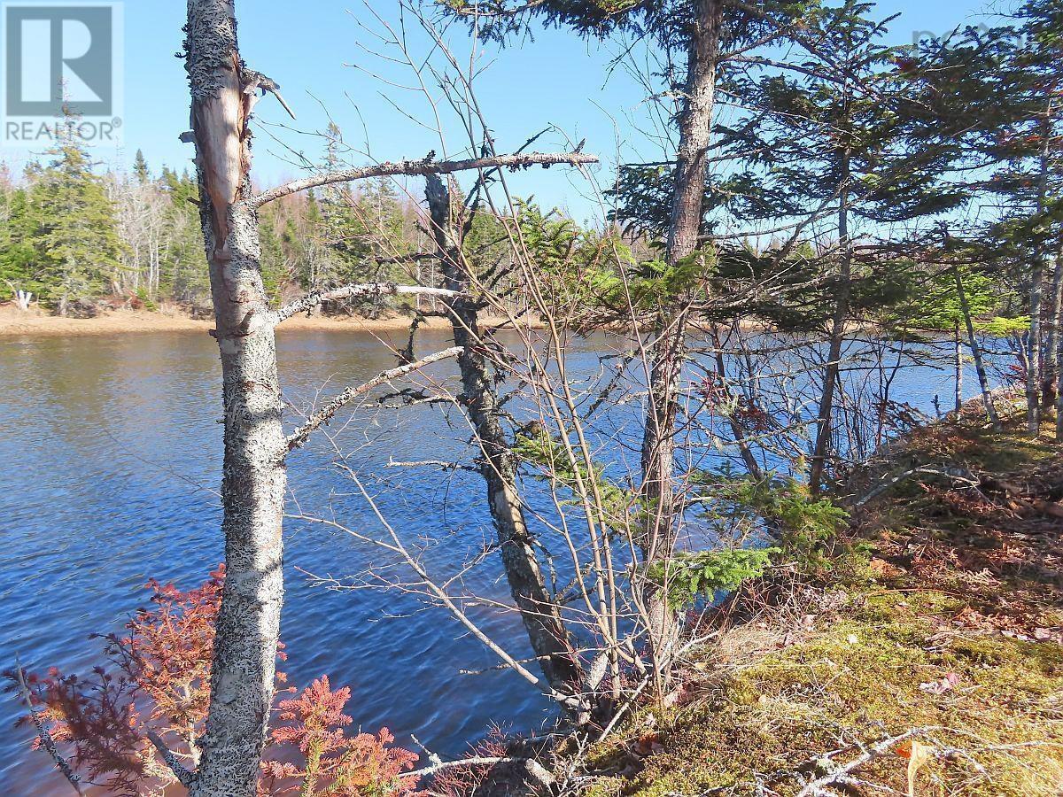 Lot5 Lower River Road, Grantville, Nova Scotia  B0E 1J0 - Photo 9 - 202403617