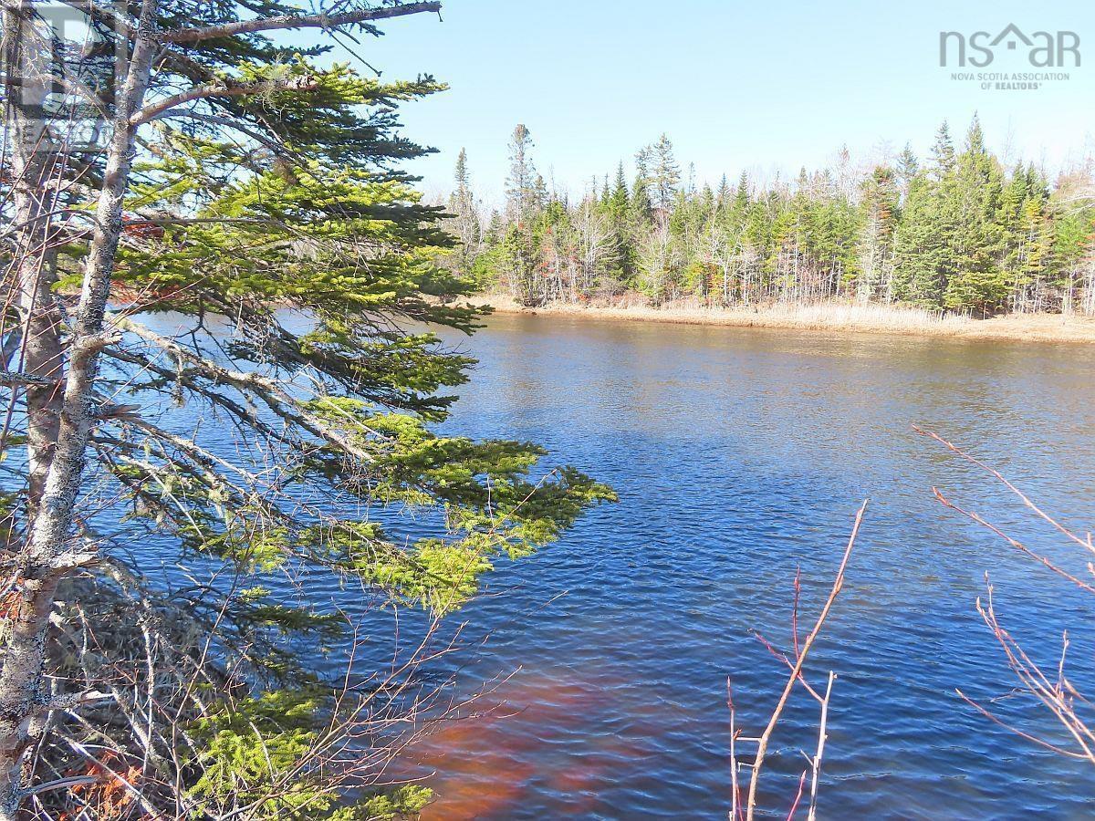 Lot5 Lower River Road, Grantville, Nova Scotia  B0E 1J0 - Photo 8 - 202403617