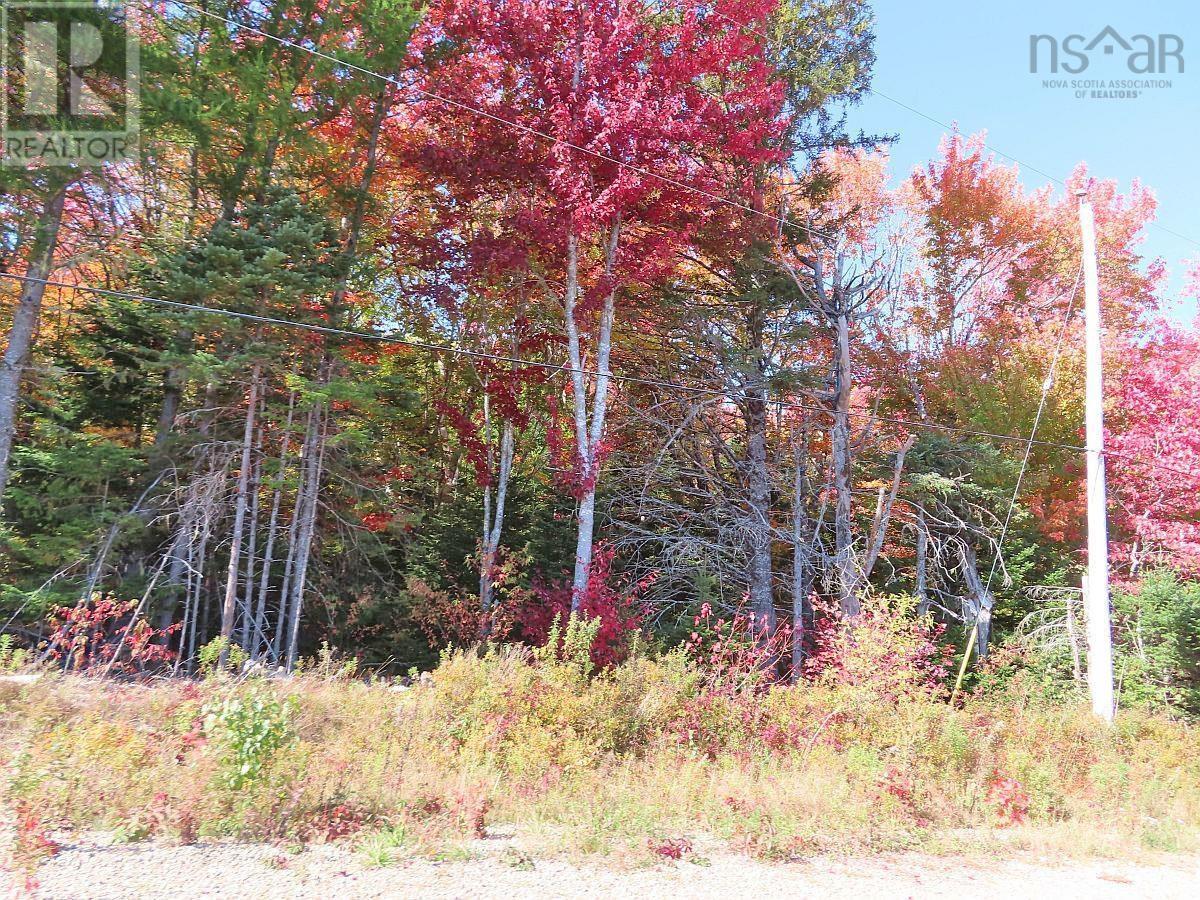 128.5 Acres West Side Road, west side country harbour, Nova Scotia