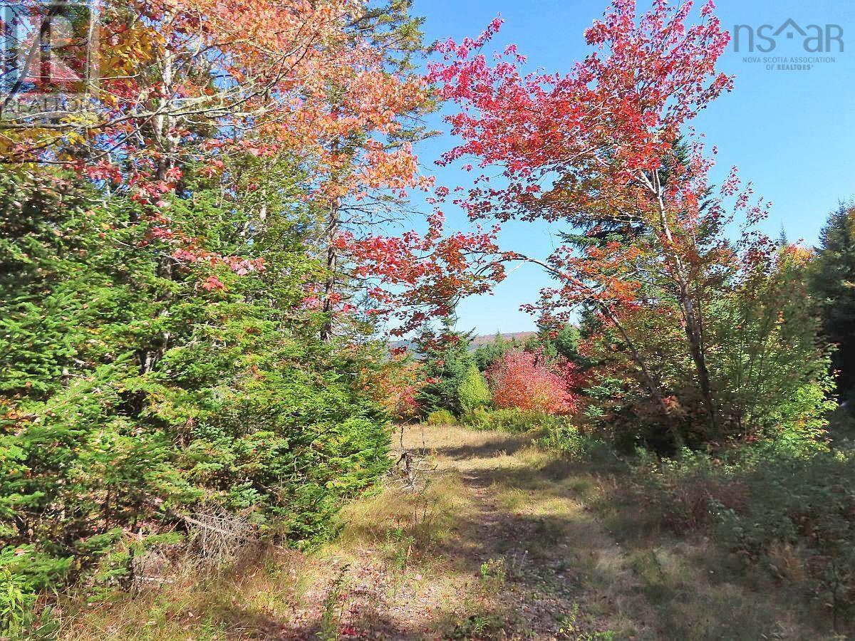 128.5 Acres West Side Road, West Side Country Harbour, Nova Scotia  B0H 1J0 - Photo 10 - 202608623