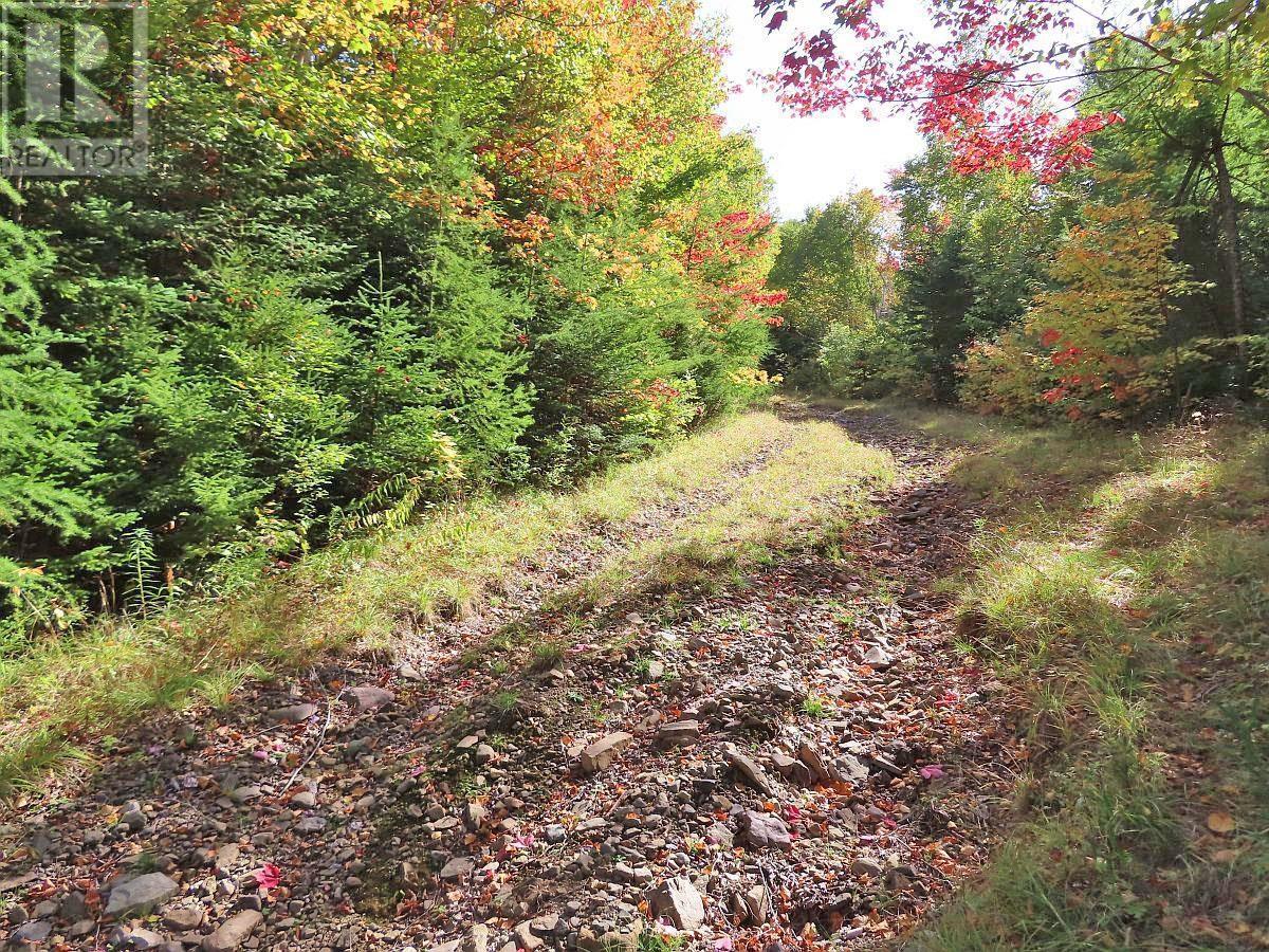 128.5 Acres West Side Road, West Side Country Harbour, Nova Scotia  B0H 1J0 - Photo 14 - 202608623