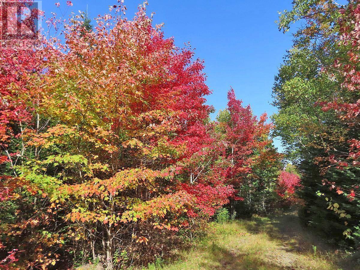 128.5 Acres West Side Road, West Side Country Harbour, Nova Scotia  B0H 1J0 - Photo 15 - 202608623