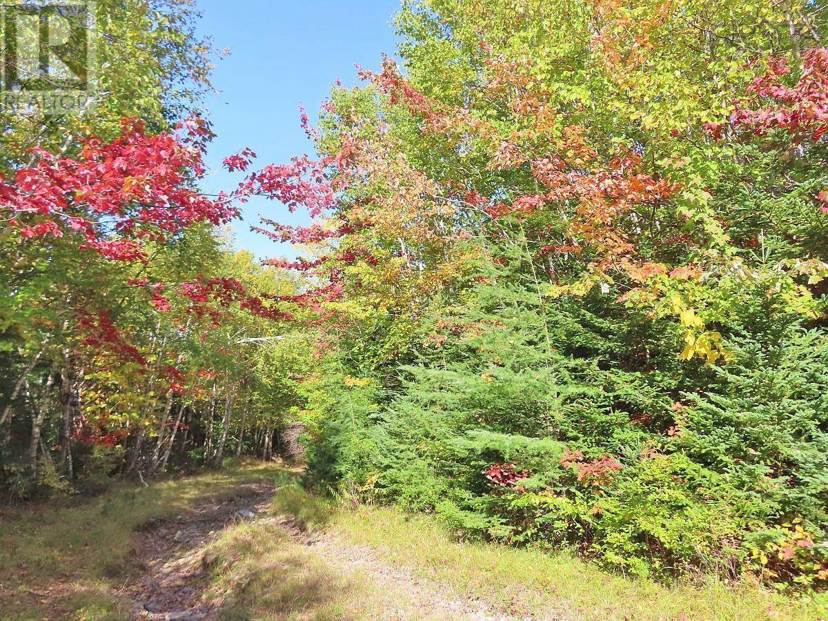 128.5 Acres West Side Road, West Side Country Harbour, Nova Scotia  B0H 1J0 - Photo 16 - 202608623