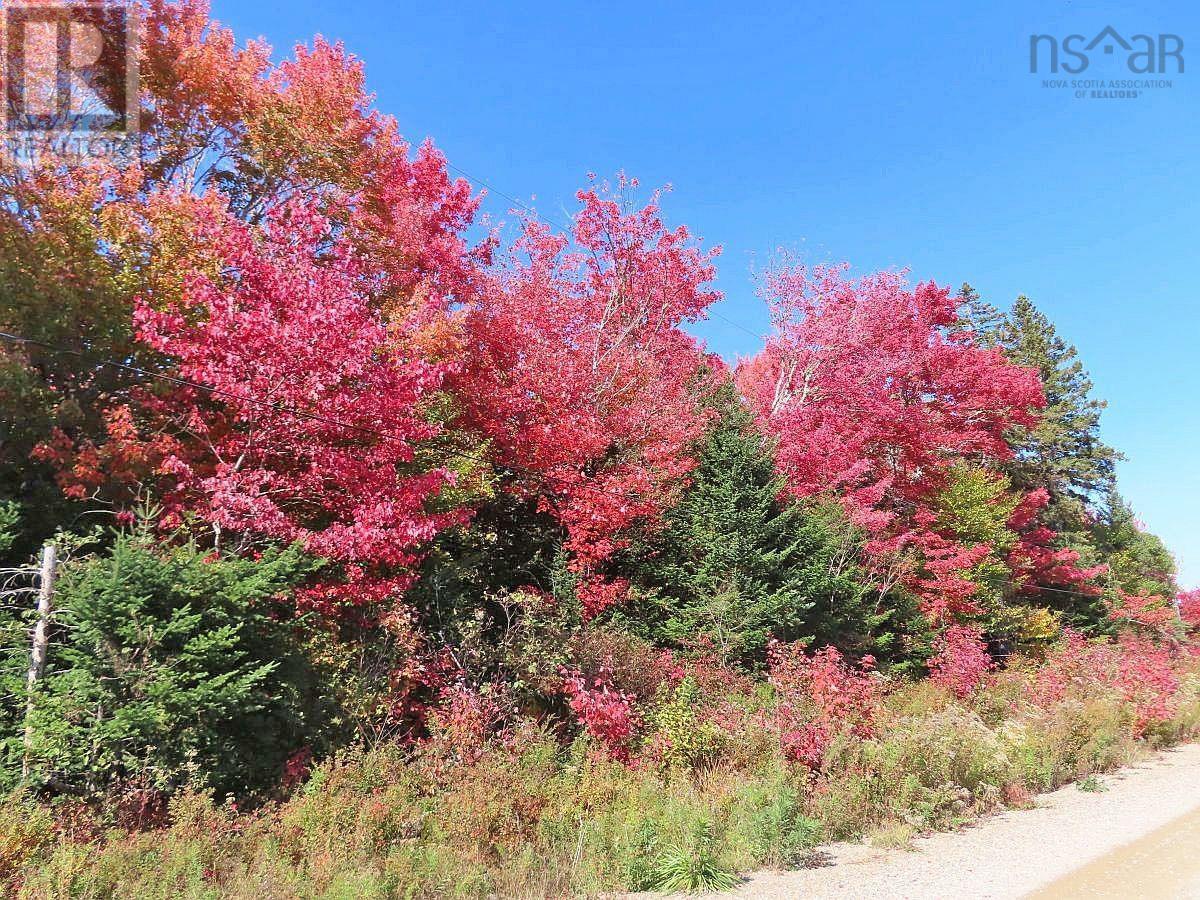 128.5 Acres West Side Road, West Side Country Harbour, Nova Scotia  B0H 1J0 - Photo 2 - 202608623