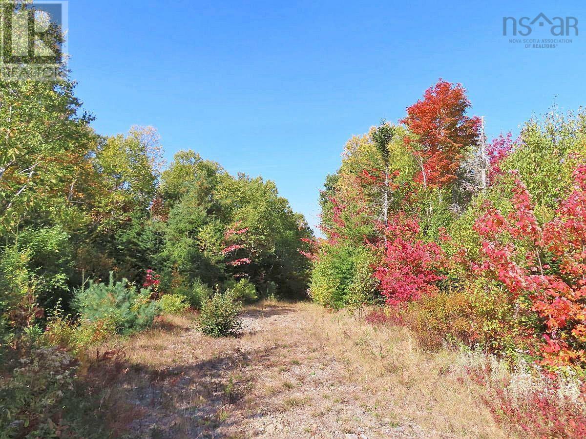 128.5 Acres West Side Road, West Side Country Harbour, Nova Scotia  B0H 1J0 - Photo 20 - 202608623