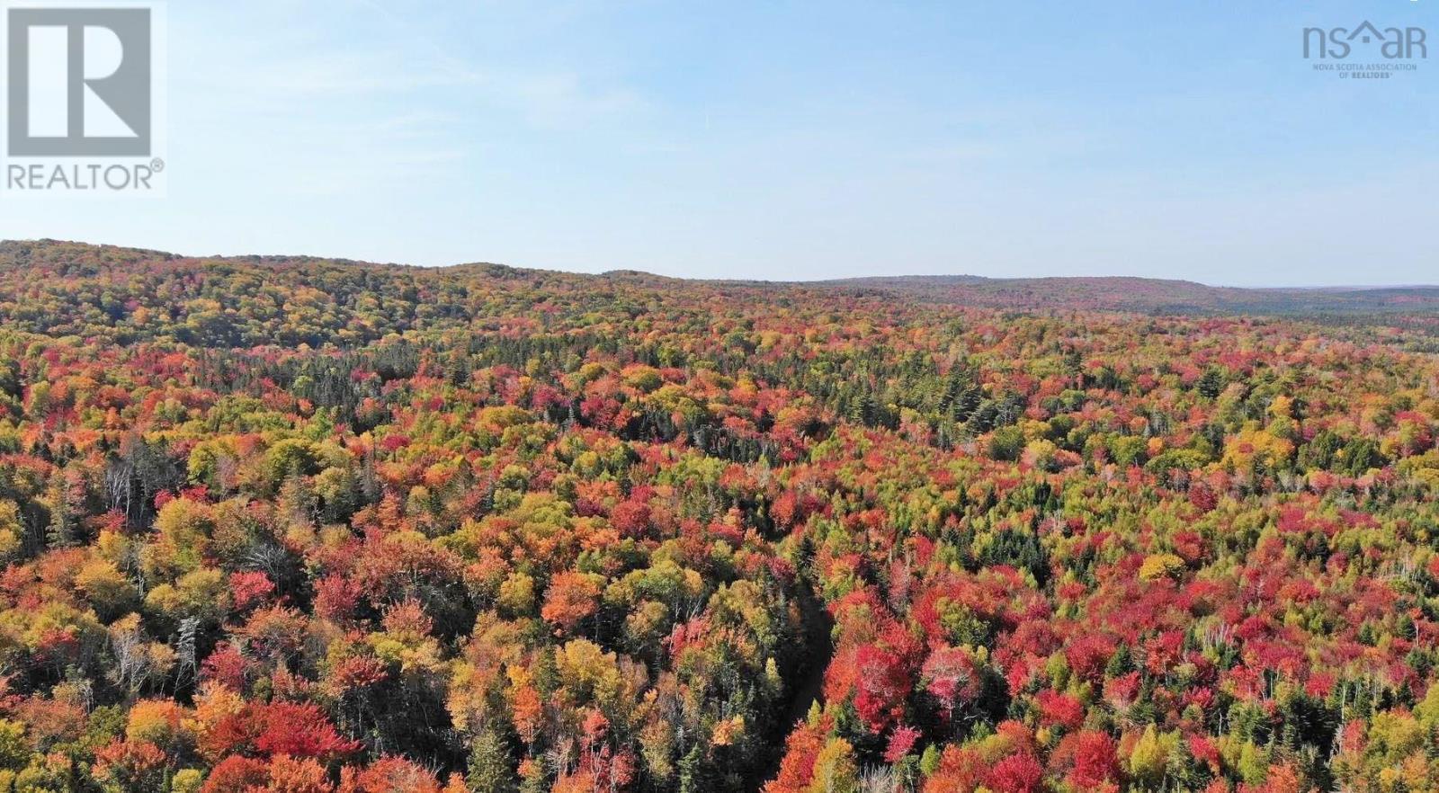 128.5 Acres West Side Road, West Side Country Harbour, Nova Scotia  B0H 1J0 - Photo 23 - 202608623