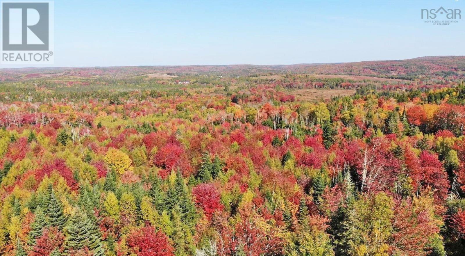 128.5 Acres West Side Road, West Side Country Harbour, Nova Scotia  B0H 1J0 - Photo 24 - 202608623