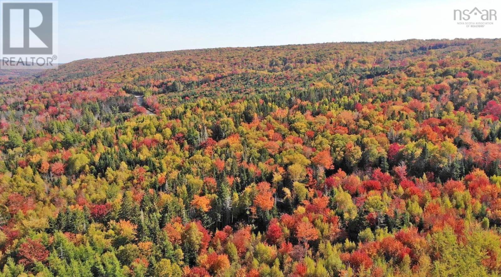 128.5 Acres West Side Road, West Side Country Harbour, Nova Scotia  B0H 1J0 - Photo 29 - 202608623