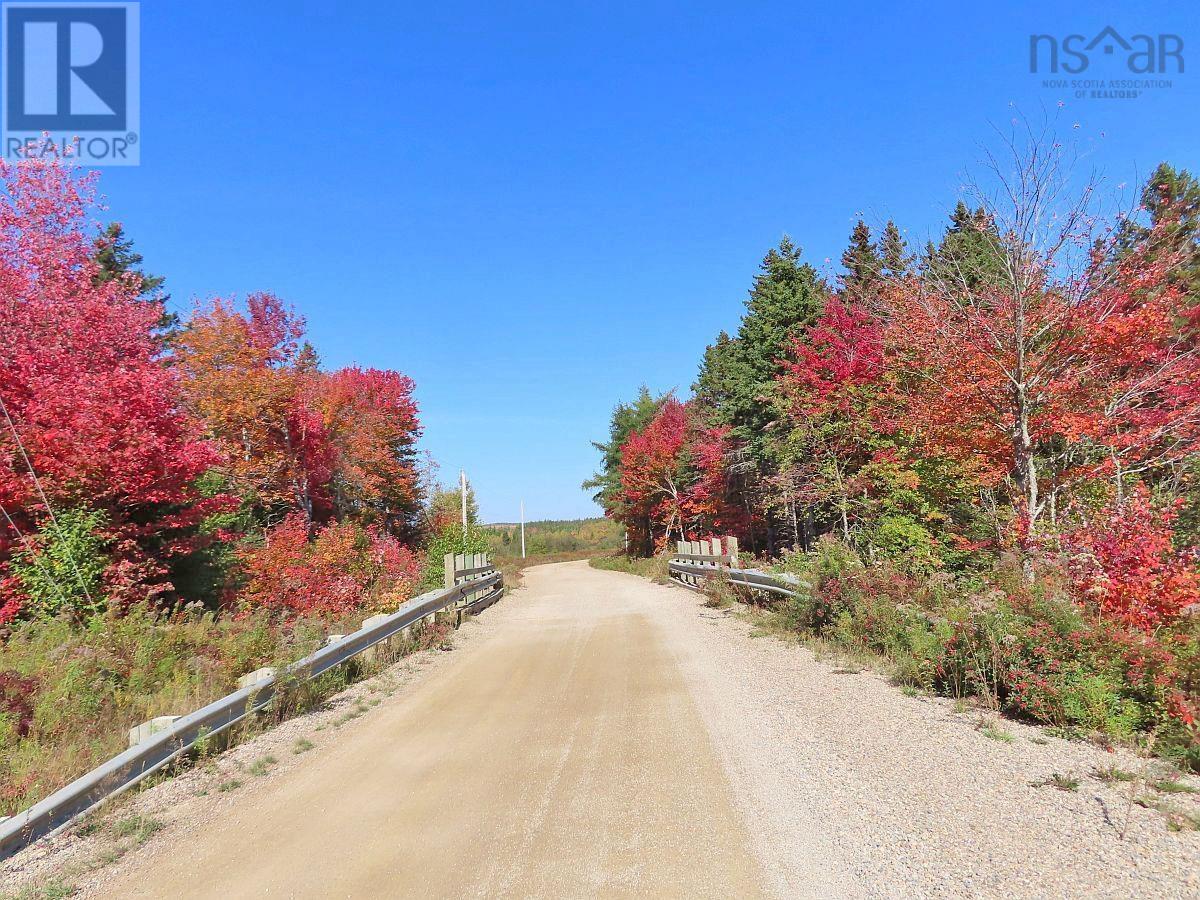 128.5 Acres West Side Road, West Side Country Harbour, Nova Scotia  B0H 1J0 - Photo 3 - 202608623