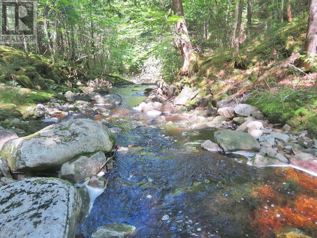 128.5 Acres West Side Road, West Side Country Harbour, Nova Scotia  B0H 1J0 - Photo 32 - 202608623