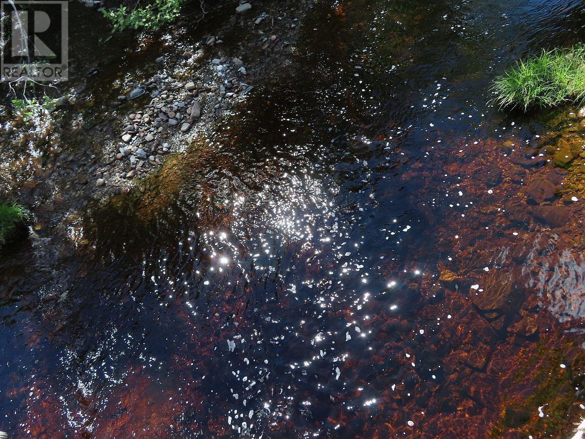 128.5 Acres West Side Road, West Side Country Harbour, Nova Scotia  B0H 1J0 - Photo 34 - 202608623