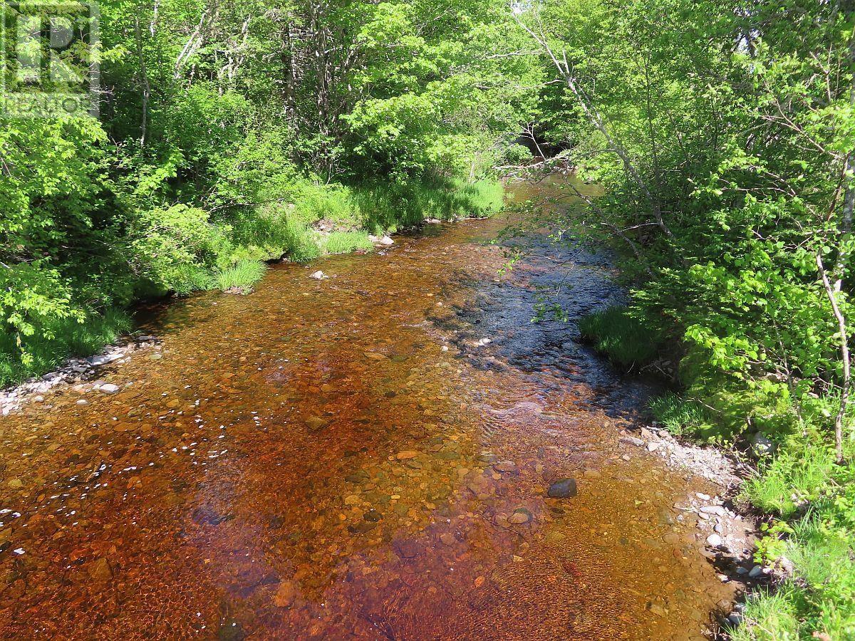 128.5 Acres West Side Road, West Side Country Harbour, Nova Scotia  B0H 1J0 - Photo 35 - 202608623
