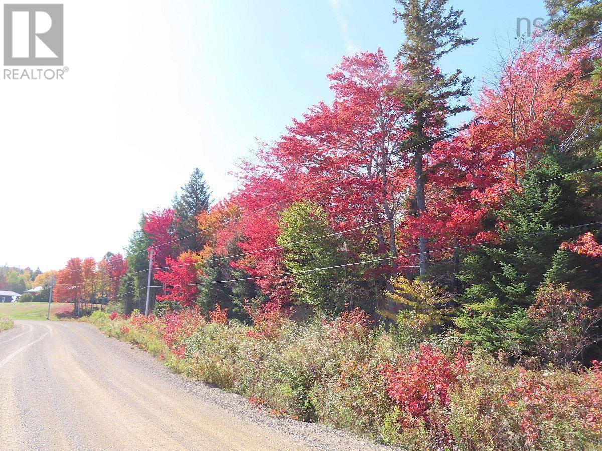 128.5 Acres West Side Road, West Side Country Harbour, Nova Scotia  B0H 1J0 - Photo 4 - 202608623